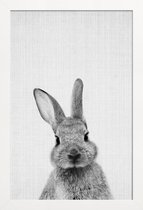 JUNIQE - Poster in houten lijst Konijn zwart-wit foto -30x45 /Wit &