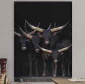 Canvas Schilderij - Watusi | 50 x 70 cm | PosterGuru.nl
