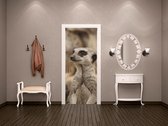 Luxe Deursticker Stokstaartje - bruin - Sticky Decoration - deurposter - decoratie - woonaccesoires - op maat voor jouw deur
