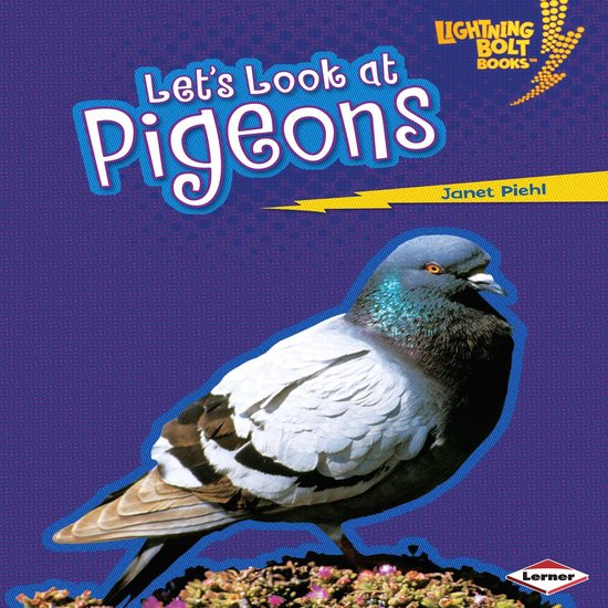 Let's Look at Pigeons - cover