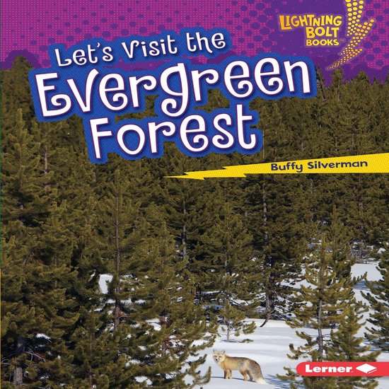 Let's Visit the Evergreen Forest - cover