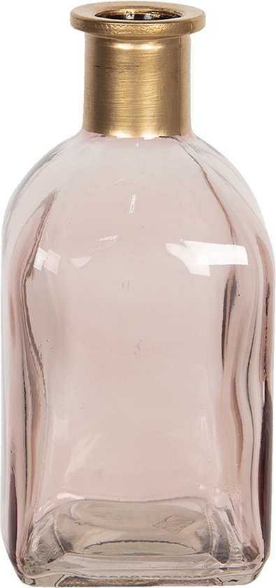 zoogdier Vervelend medeleerling Clayre & Eef Vaas 6*6*13 cm Roze Glas Vierkant Glazen Vaas Bloempot Binnen  | bol.com