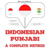 Saya belajar Punjabi