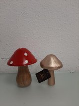2 decoratieve paddenstoelen