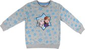Disney Frozen II - sweater - 100% katoen - kinder - meisjes - grijs/blauw - maat 98