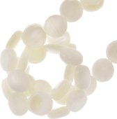 Schelp Kralen (6 x 3 mm) Beige (64 Stuks)