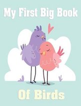My First Big Book of Birds