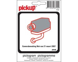 Pickup Pictogram 10x10 cm - Camerabewaking wet Belgie