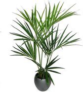 Maxifleur kunstplanten - Kentia Kunstpalm - Deluxe - voor binnen - 135 cm