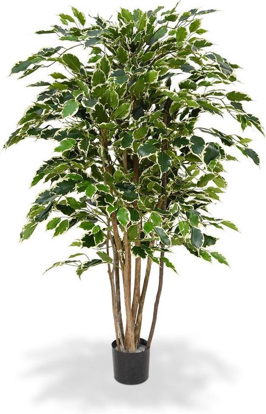 Ficus Exotica deluxe kunstplant 125cm - bont