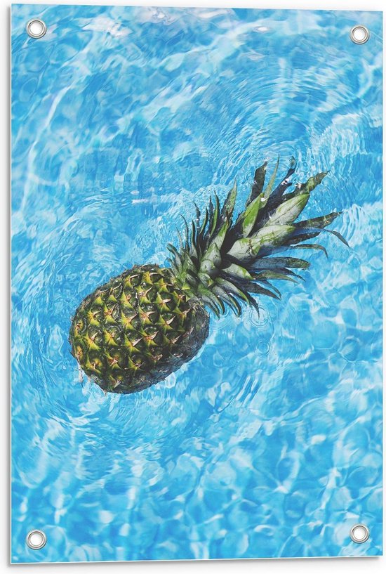 Tuinposter – Ananas Drijvend in Water - 40x60cm Foto op Tuinposter  (wanddecoratie voor buiten en binnen)