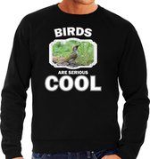 Dieren vogels sweater zwart heren - birds are serious cool trui - cadeau sweater groene specht/ vogels liefhebber XL