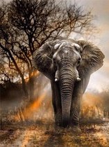 Diamond Painting - Olifant in schemer - ronde steentjes - 40x30 - Hand-gemaakt