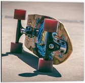 Dibond - Mooi Geschilderd Skatebord aan de Onderkant - 50x50cm Foto op Aluminium (Wanddecoratie van metaal)