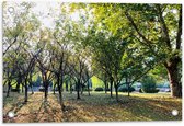 Tuinposter – Bomen - 60x40cm Foto op Tuinposter  (wanddecoratie voor buiten en binnen)