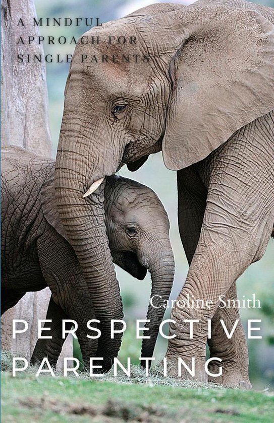 Perspective Parenting: A Mindful Approach for Single Parents - cover