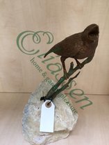 Tuinbeeld - bronzen beeld - Vogel op tak - Bronzartes - 22 cm hoog