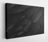 Onlinecanvas - Schilderij - Close Up Feathers Background. Top View Art Horizontal Horizontal - Multicolor - 30 X 40 Cm