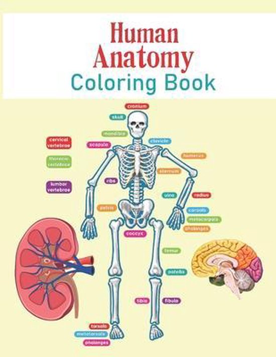 Human Anatomy Coloring Book - cover