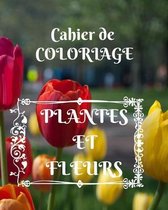 Cahier de Coloriage