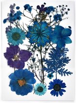 Echte droogbloemen - 30 stuks - blauw - rood - turquoise - droogbloemen op kaart - epoxy hars - decoratie