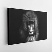 Closeup portrait of a baboon with yellow eyes - Modern Art Canvas  - Horizontal - 1250103763 - 80*60 Horizontal