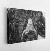 Onlinecanvas - Schilderij - Portrait Landscape Buffalo Art Horizontal Horizontal - Multicolor - 60 X 80 Cm