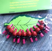 Houten knijpers met lieveheersbeestje donker-roze 10 stuks