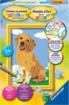 Ravensburger Schilderen op nummer hond Golden Retriever puppy - Hobbypakket
