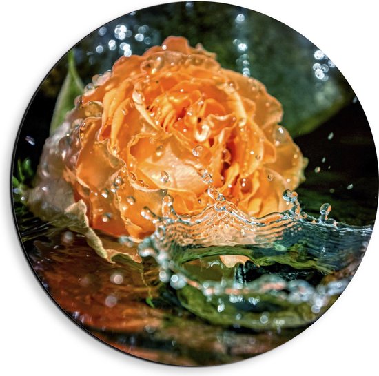 Dibond Wandcirkel - Oranje Vallende Roos in het Water - 40x40cm Foto op Aluminium Wandcirkel (met ophangsysteem)