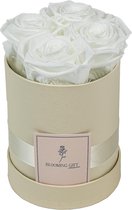 Flowerbox longlife rozen | WHITE | Small | Bloemenbox | Longlasting roses WHITE | Rozen | Roses | Flowers
