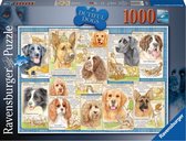Ravensburger puzzel Trouwe Honden - Legpuzzel - 1000 stukjes