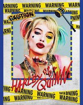 Pyramid Birds of Prey Harley Quinn Warning  Poster - 40x50cm