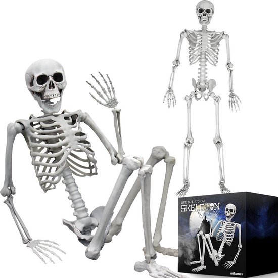 Foto: Mikamax human size skelet levensecht lijkend skelet halloween skelet halloween decoratie realistisch design 170 cm