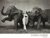 Olifant poster - Richard Avedon - fashion- mode- olifanten - zwart wit - fotografie - 60 x 76 cm.