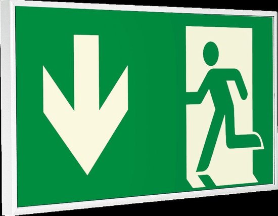 Nooduitgang bord pijl beneden in lijst - kunststof - 300 x 150 mm