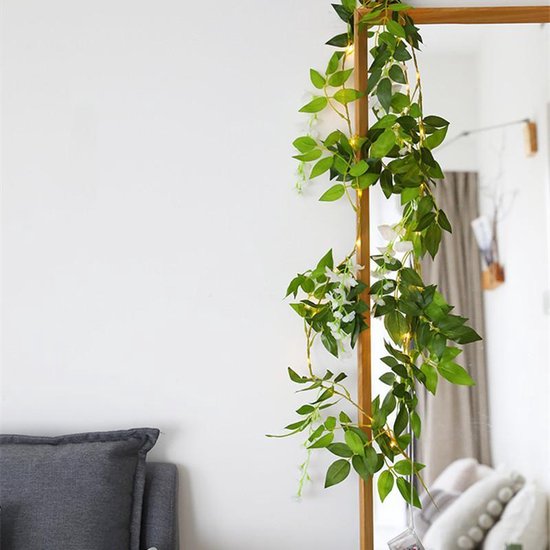 Glycine String Light Wit 2 mètres