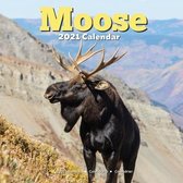 Moose Calendar 2021