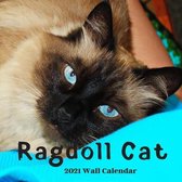 Ragdoll Cat Wall Calendar 2021