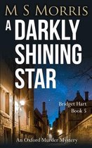 A Darkly Shining Star