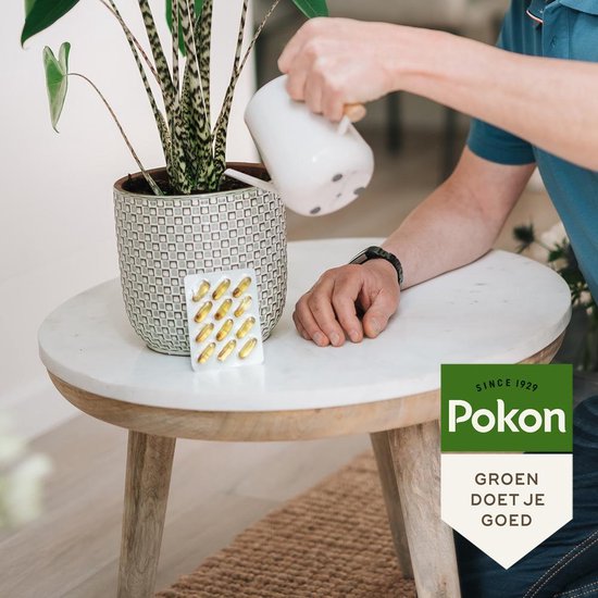 Pokon Bio Kuur voor Weerbare en Gezonde Kamerplanten - Capsules - 12 stuks - Geschikt voor alle kamer-, buitenplanten en moestuin