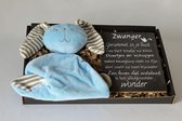 Brievenbus cadeau knuffelkonijn blauw, cadeau zwangerschap, kraamcadeau