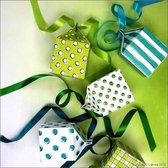 Shadowpainting set - 8 grote doosjes blauw & groen SP0603 303604/0603