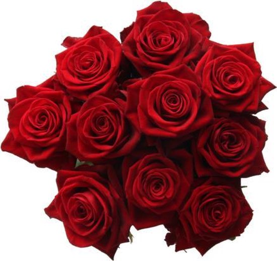 Romantic Red Rode Valentijns Rozen 20 Rozen Luxe Geschenkdoos Cadeau Bos Rozen Bol 0199