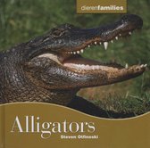 Dierenfamilies  -   Alligators