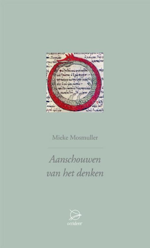 Cover van het boek 'Aanschouwen van het denken / druk 1' van Mieke Mosmuller