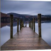 Dibond - Houten Vlonder aan het meer bij Bergen - 80x80cm Foto op Aluminium (Met Ophangsysteem)