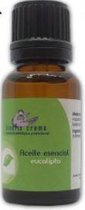 Eucalyptus etherische olie - 15 ml 100% natuurlijk, puur en niet verdund