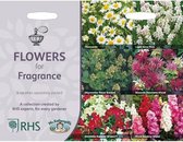 RHS Collectie geurende bloemen