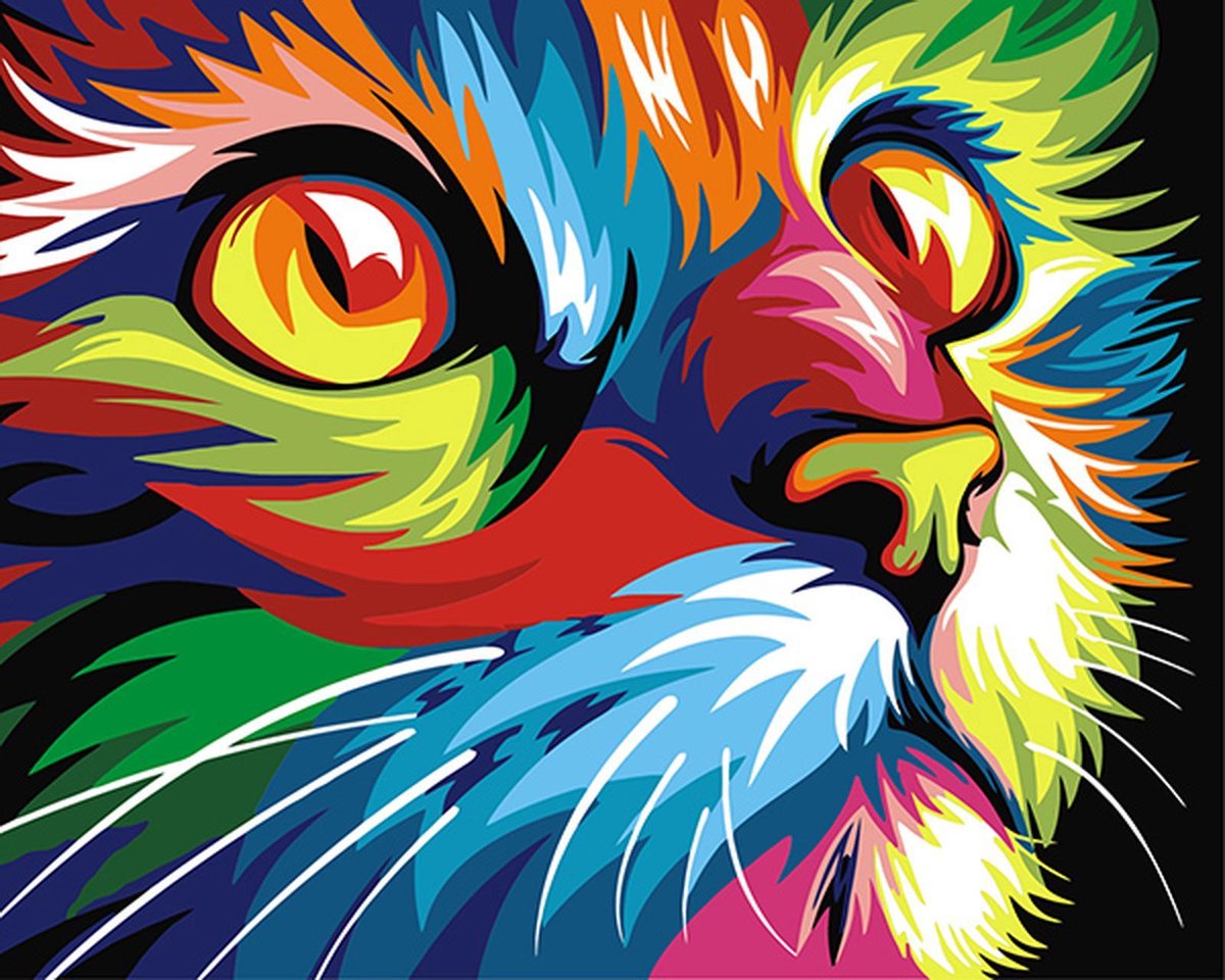 Schilderen op nummer Kleurrijke kat (regenboog) 40x50 zonder frame